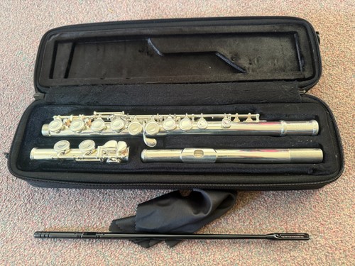 WISEMANN DFL-395 FLUTE