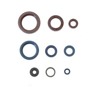 Parolio Motoren Gilera KK KZ SP01 SP02 FüR Gilera XR1 XR2 125 1986-1993 2T