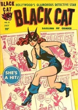 Black Cat Comics #6 Photocopy Comic Book