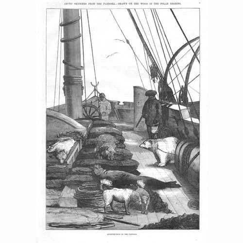 ARCTIC EXPEDITION Onboard the Quarterdeck on the Pandora - Antique Print 1875