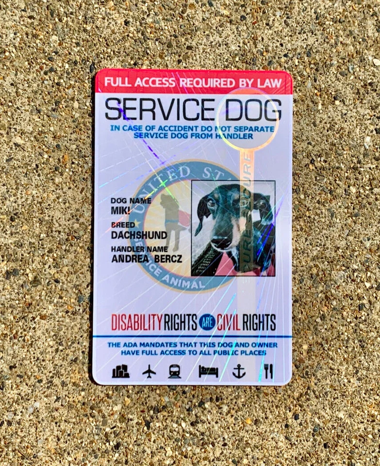 TARJETA DE IDENTIFICACIÓN DE PERRO DE SERVICIO CON REGISTRO - HOLOGRÁFICA Foto 3 de 4