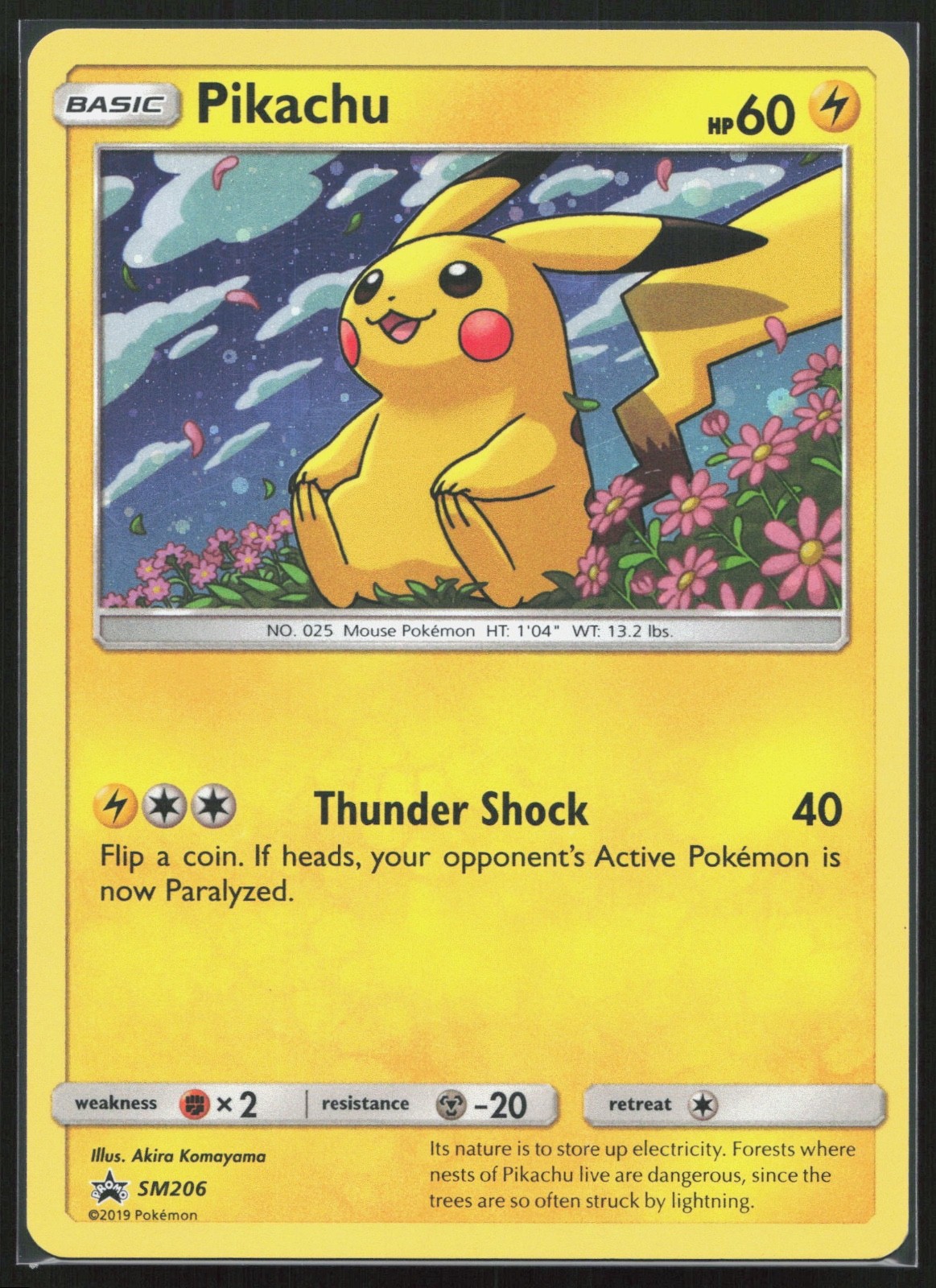 #2 Pikachu SM206 Black Star Promo 2019 Holo Rare Pokémon Card TCG