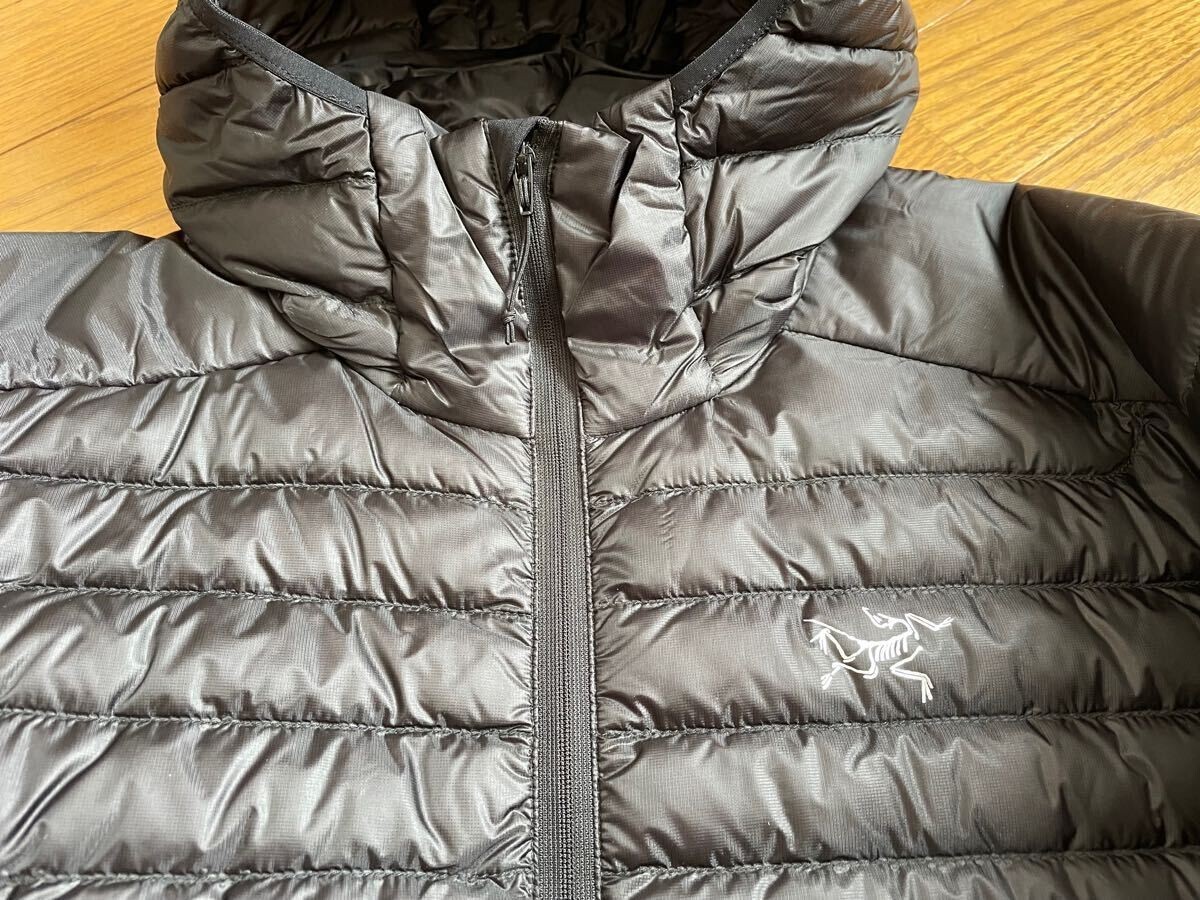1000 FP 2025 Arcteryx Cerium SL Hoody Black Mens SMALL Down