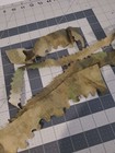Foto 13 di 24