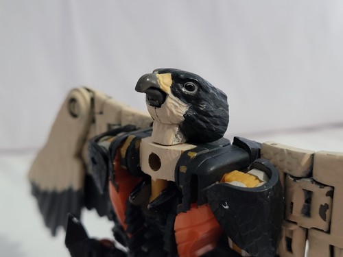 Transformers Kingdom Beast Wars Airazor Cartoon custom complete read - Picture 11 of 11