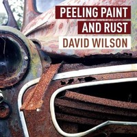 David Wilson - Peeling Paint And Rust - Hardback - G245Z