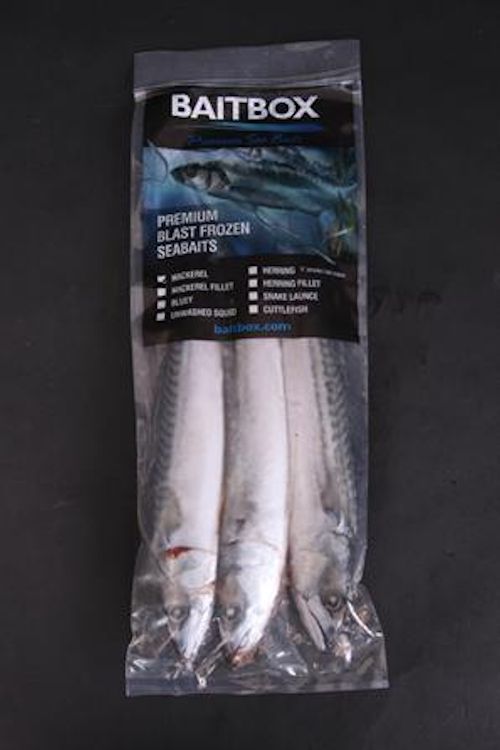 SEA FISHING FROZEN BAIT SQUID MACKEREL MUSSEL LUGWORM BLUEYS SANDEEL