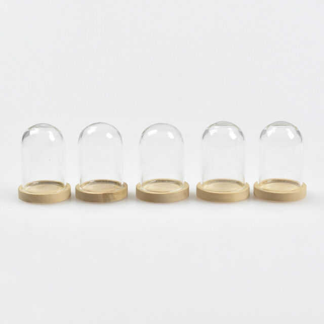 5PCS Miniature Glass Dome Display Bell Jar w/ Wooden Base Doll's House Decor Set