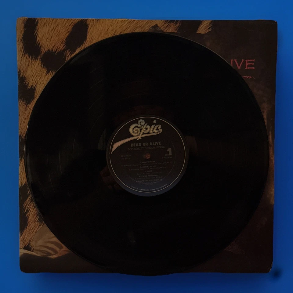 Dead Or Alive Sophisticated Boom Boom Original 1984 Vinyl LP 33 RPM V/G+ ~ Epic. - Image 4 of 4