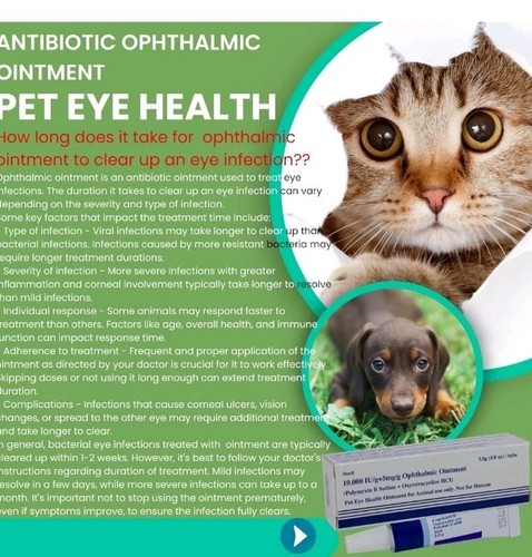2 Packs Pet Eye Health Ointment for Dogs, Cats, Cattle, Sheep, Horses 3.5 g - Imagen 5 de 5