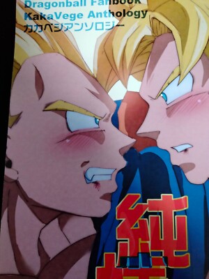 Dragon Ball Doujinshi Kakarot X Vegeta Anthology (B5 68pages) hotomi Jyunjyo
