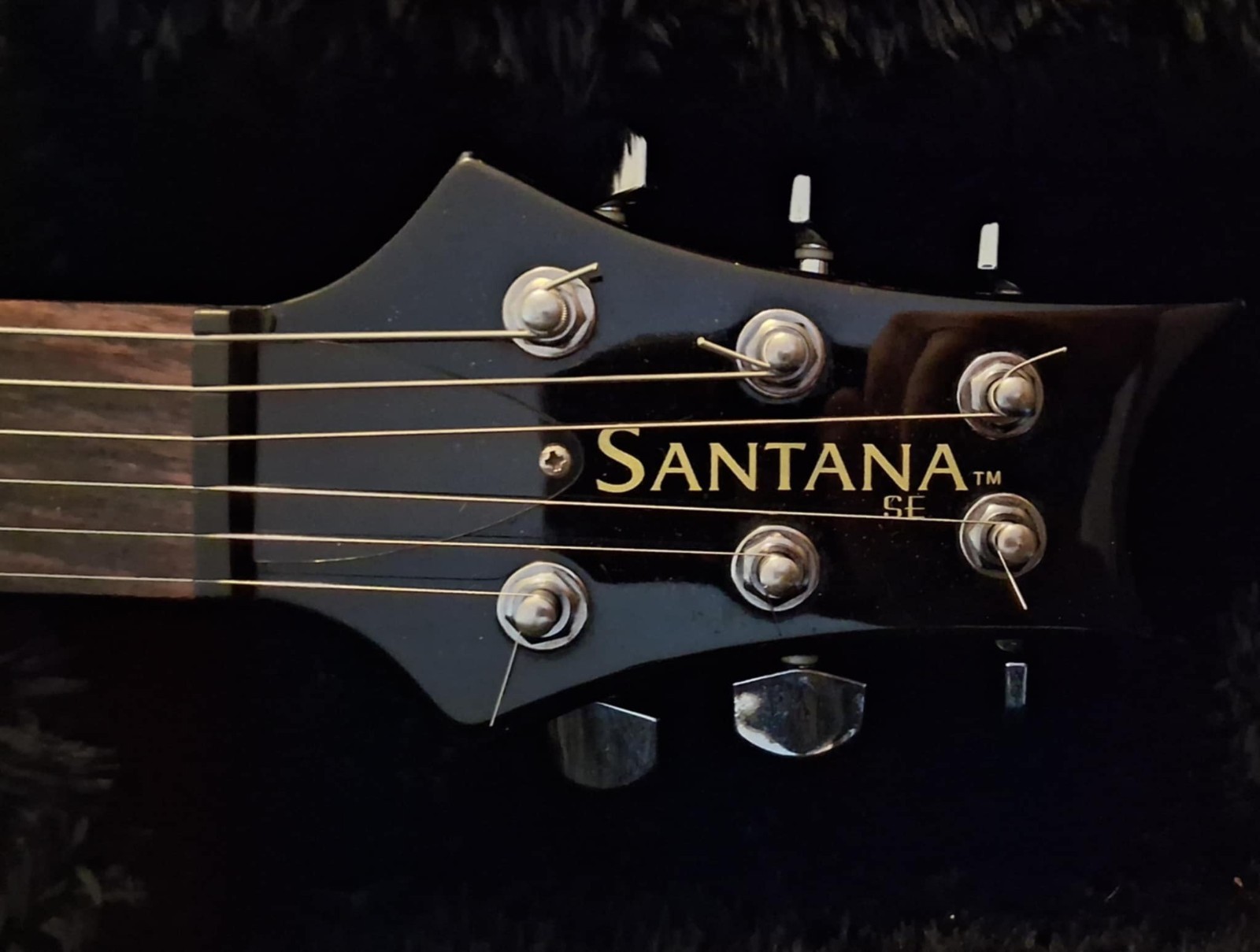 PRS Santana SE Electric Guitar/Postal monkey guitar case.
