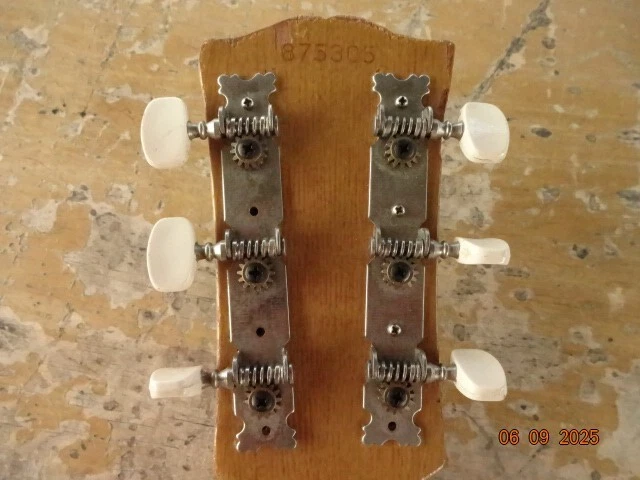Picture 5 of 19