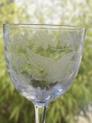 Beautiful Etched Antique Drinking Glass Bird Butterfly Leaves Port Sherry 50ml - Picture 4 of 20