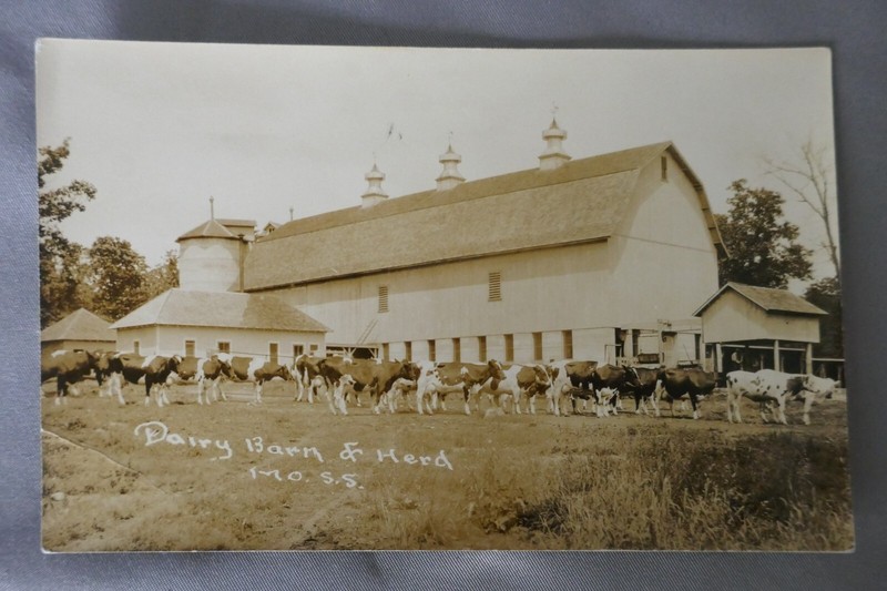 Vintage MIssouri Mo State Sanitorium Dairy Barn & Herd RPPC Real Photo Postcard