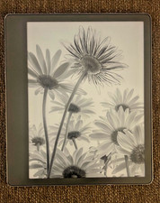 Amazon Kindle Scribe 1. Gen 16GB, Wi-Fi, 10,2 Zoll - Tungsten Gray (mit...