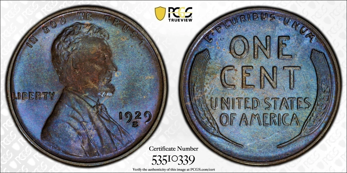 MS 64 Graded 1929 Year Lincoln Wheat US Small Cents (1909-1958