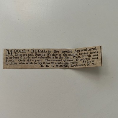 Moore's Rural The Family Weekly DDT Moore Rochester NY 1857 Clipping TAJ5-S31