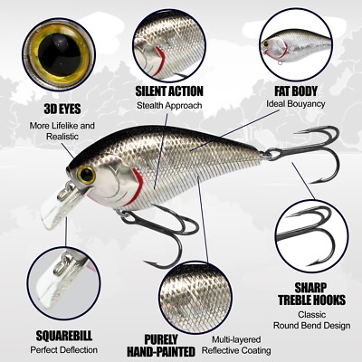 Manivelle Peu Profonde Lucky Craft LC 2.5 - Bass Store Italy: 50K Produits P&ecirc;che Sportive En Stock &amp; Exp&eacute;dition Imm&eacute;diate