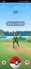 Pokémon Hundo Zygarde Iv100 - Mini P T C