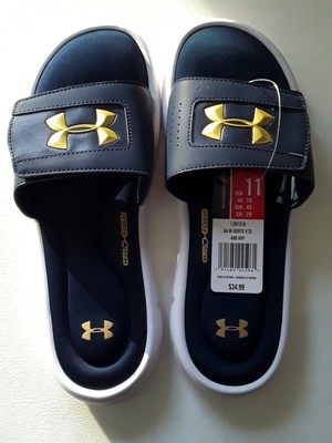 blue and gold slides