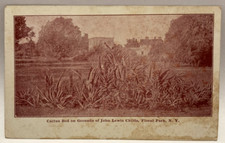 Cactus Bed on Grounds of John Lewis Childs, Floral Park, NY Vintage Postcard