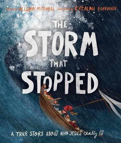 The Storm That Stopped Storybook: A true story about who... - Alison Mitchell