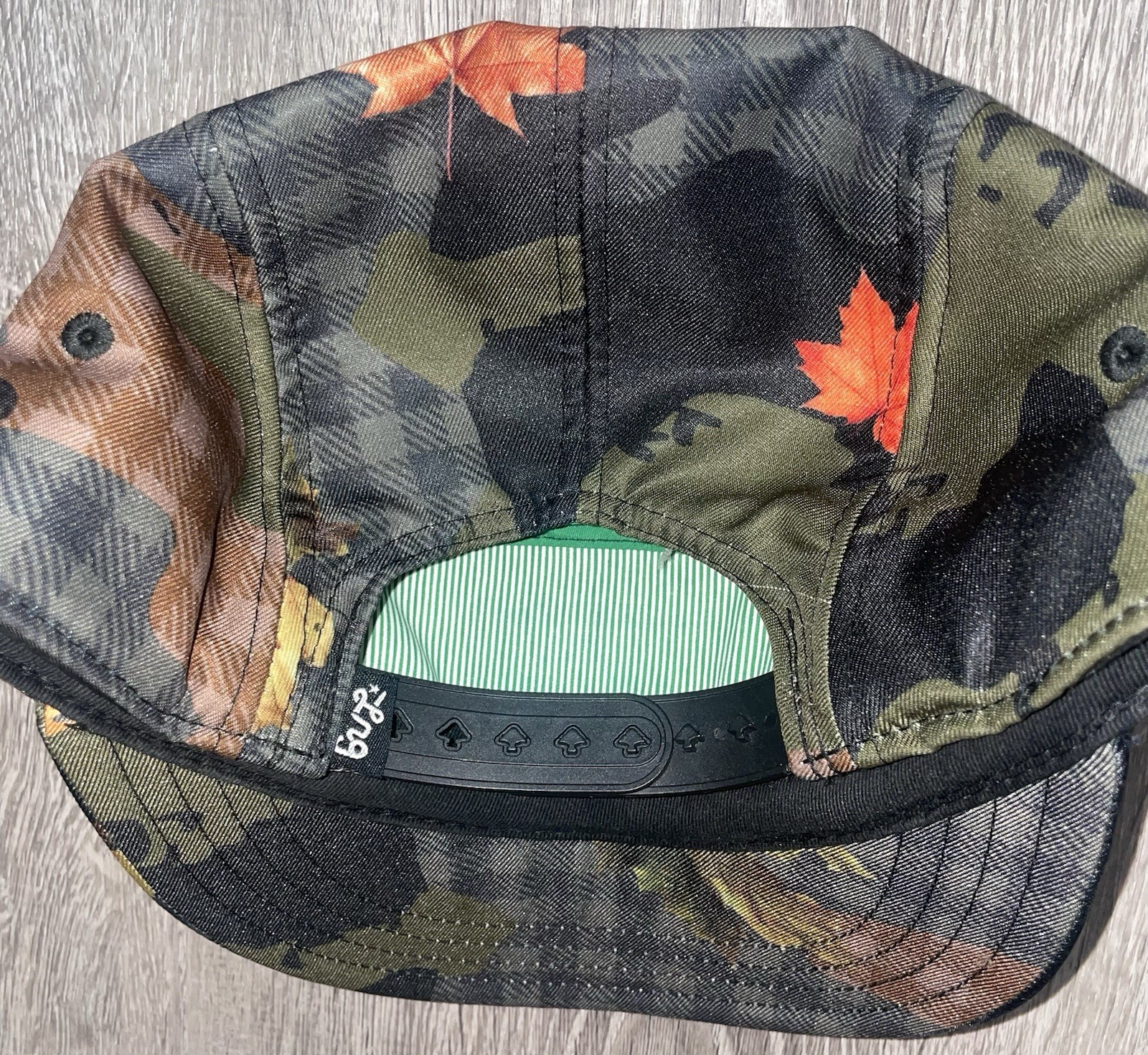 LRG SnapBack Hat - image 2