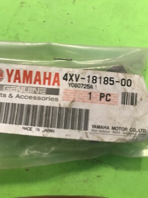 Yamaha 木琴 No.185 Amazon.com: Yamaha CGS103A 3/4 Size Classical Guitar