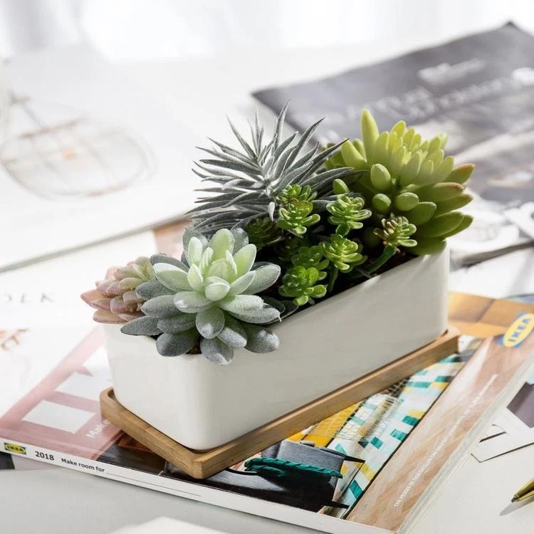 Potted Realistic Artificial Succulents in Ceramic Pot Planter with Bamboo Tray - Image 3 of 4