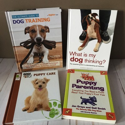 dog care collar manual