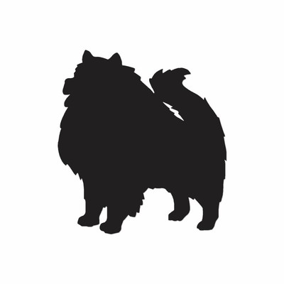 Download Keeshond Dog - Vinyl Decal Sticker - Multiple Color & Sizes - ebn1972 | eBay