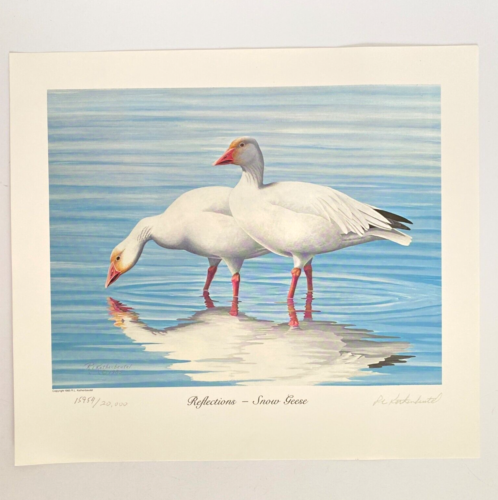 1985 Snow Geese Bob Kothenbeutel Artist Signed Numbered Ltd Edition Wild Images - Picture 1 of 4
