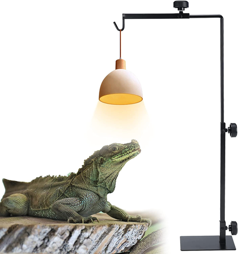 lizard light holder