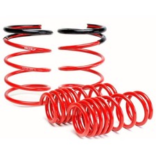 Skunk2 Racing Sk Lowering Springs 519-05-1672 Skunk2 Racing Sk Lowering Springs 519-05-1672