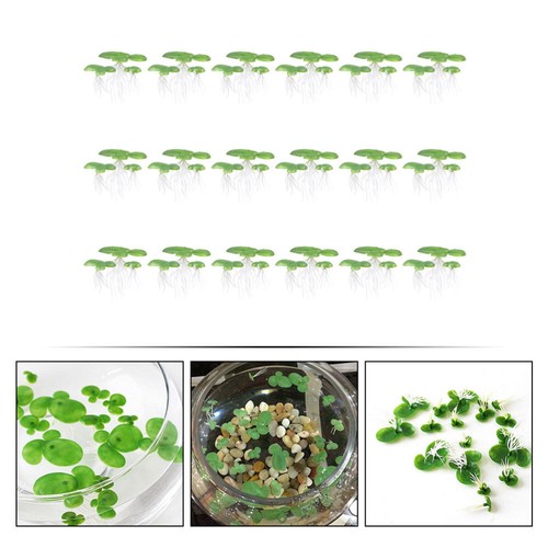 54PCS Mini Fake Duckweed Artificial Floating Duckweed Aquarium Simulation Plants - Picture 9 of 12