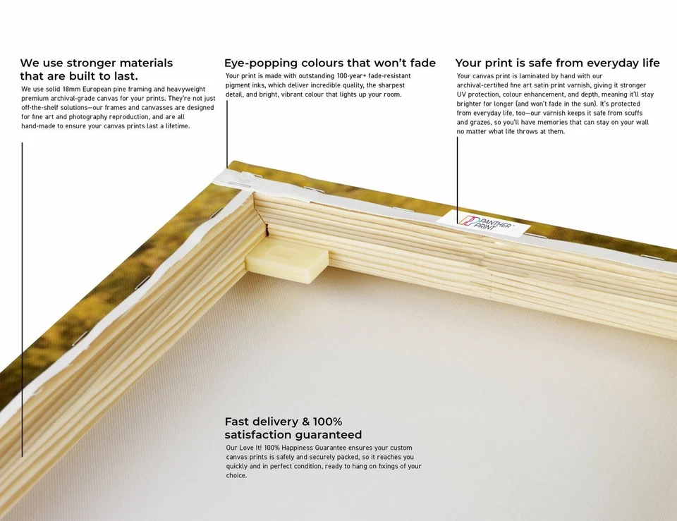 Ayrton Senna Quote F1 Canvas Wall Art Picture Print - Image 4 of 4