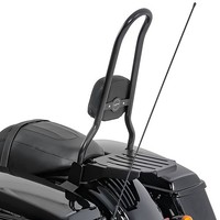 Sissy Bar Csxl Fix FüR Harley Davidson CVO Road Glide Ultra 14-16 GepäCkträGer S