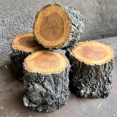ORCHARD ORGANIC 4 APRICOT DELUXE WOOD LOGS 4~5"H BIG CHUNKS For Smoking BBQ Grilling Fire Crafts