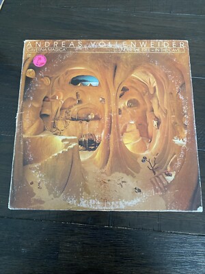 LP 1983 CBS37827 ANDREAS VOLLENWEIDER Under the Tree In the Cave Vinyl Record 