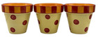 3 Southern Living at Home Gail Pittman Siena Handpainted Flower Pots Polka Dots