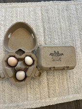 6 Malaysian Serama and White Splash Silkie Eggs Mix