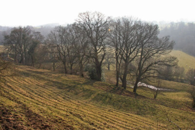 Photo 6x4 Soil creep in East Allendale Allendale Town Soil creep forming  c2009