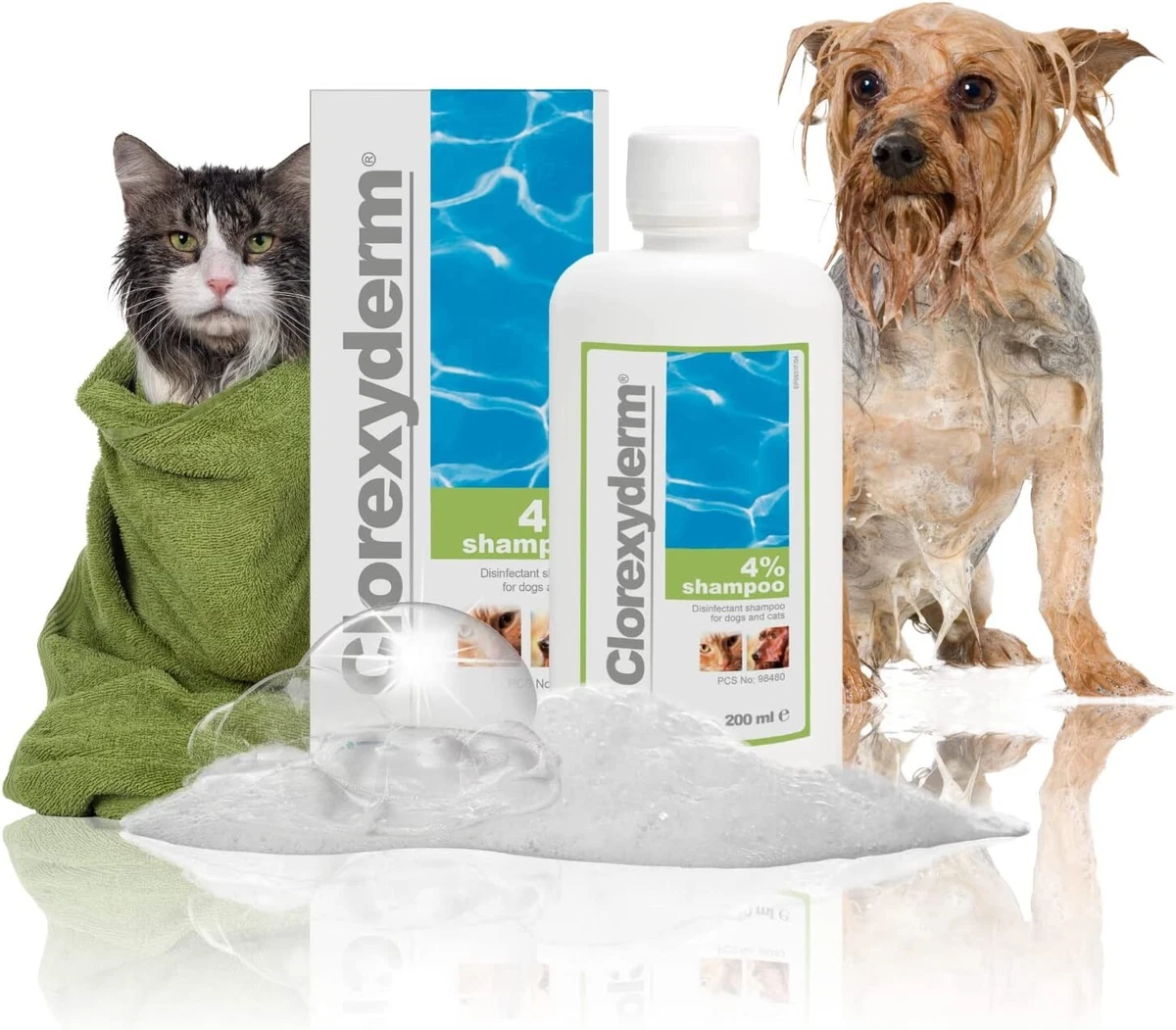 Shampoo for dogs top with dry itchy skin