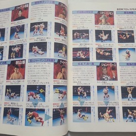 SATURN FAN No.20 Pro Wrestling Japan All Japan Pro Wrestling Feature 33e