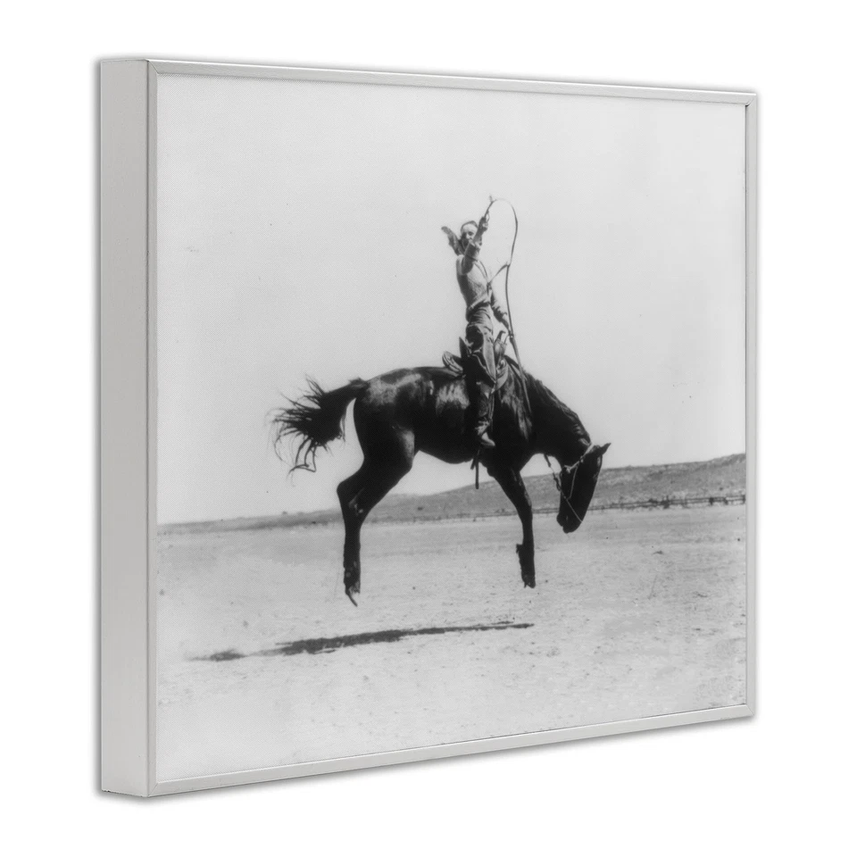 Galloping Rodeo Cowgirl Framed Giclee Wall Art Design by Daphne Polselli, Whi... - Image 3 of 4