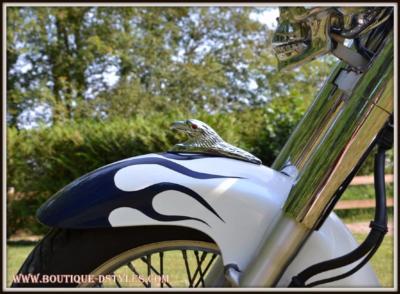 Decoración De Guardabarros, Guardabarros Delantero De Motocicleta Universal Decoración De Guardabarros Adorno Estatua De Cabeza De águila Para Kawasaki/Suzuki/Honda Unbranded QC23427 | En Línea