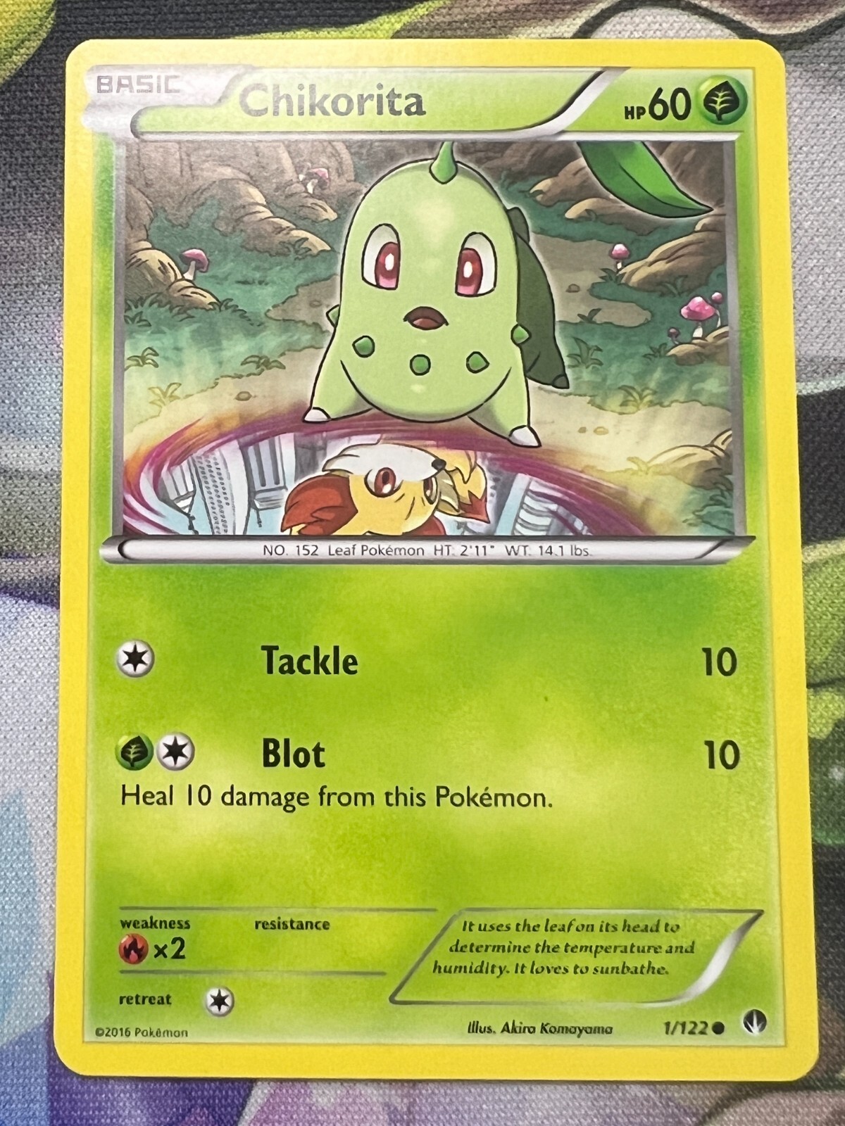 Chikorita Pokémon TCG BREAKPoint 1/122 Regular Common LP/NM