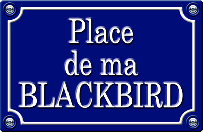 PLACE DE MA BLACKBIRD - 29cm AUFKLEBER STICKER AUTO PR0132