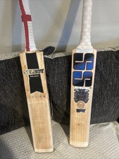 X 2 Cricket Bats Around 2:10
